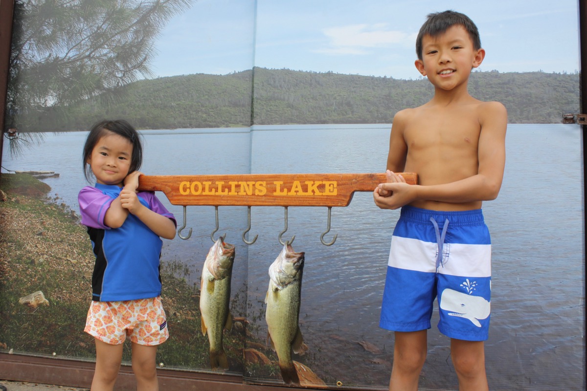 Collins Lake :: Crazy Catfish Catching