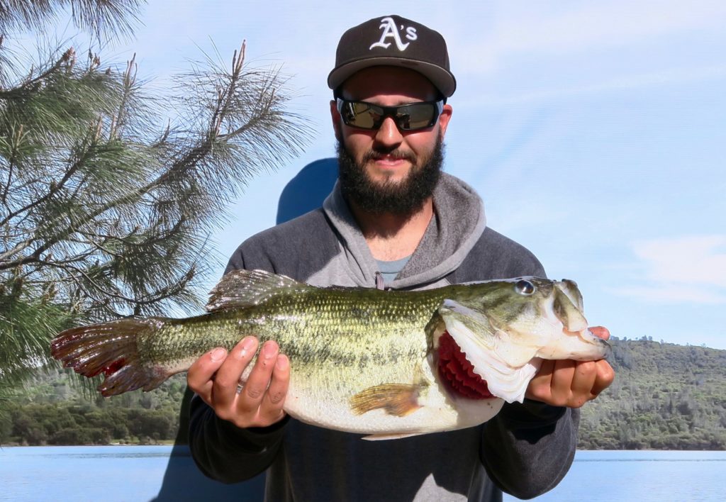 Collins Lake :: 8-Pound Largemouth Bass & Trophy Trout