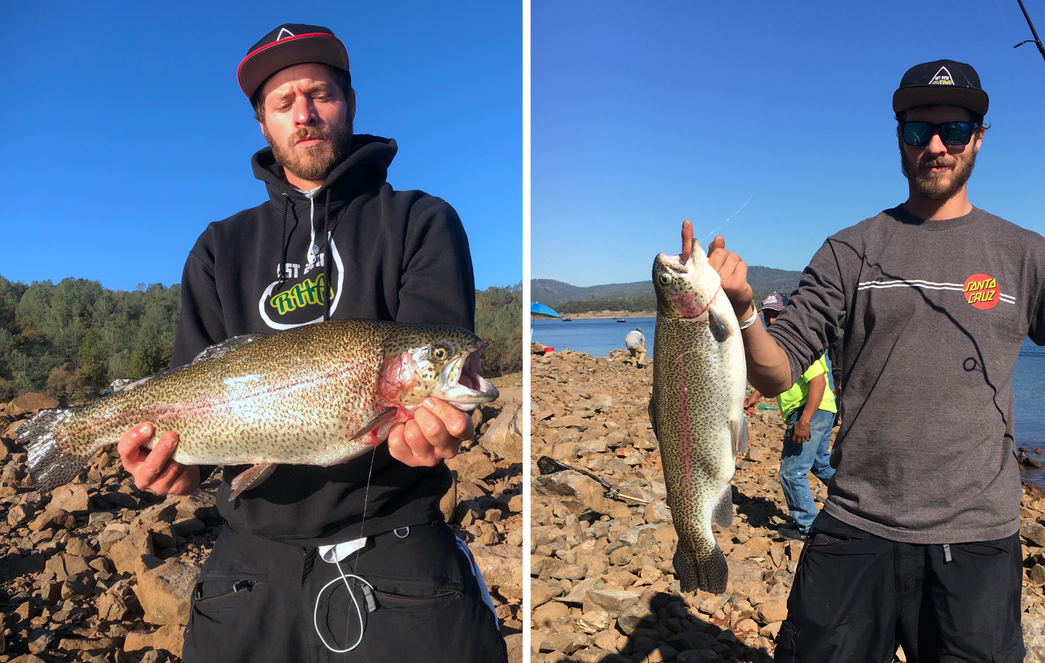 Collins Lake Fish Report - Collins Lake - Lots of Trout Over 7lbs