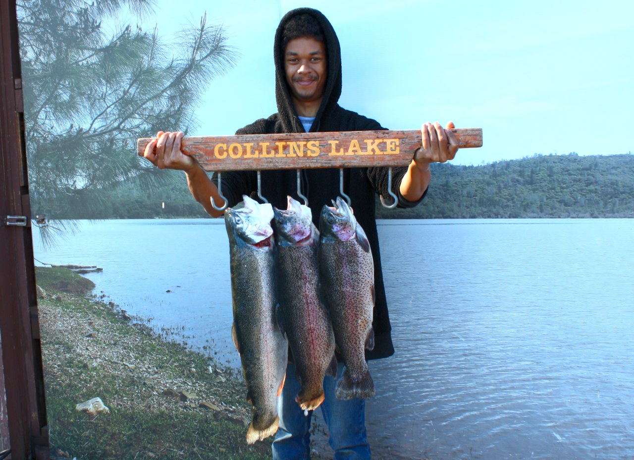 Collins Lake :: Wonderful Weather for Winter Trout Plants… but Pray for  Rain!