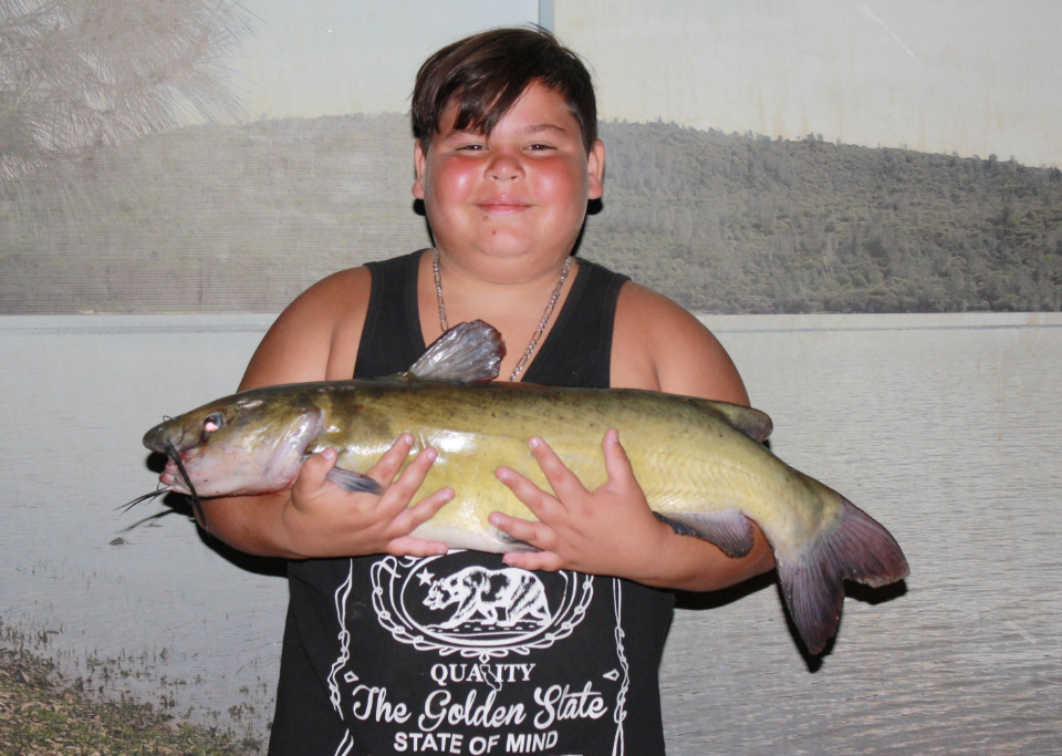 Collins Lake :: Trout 'till daybreak and catfish at night!