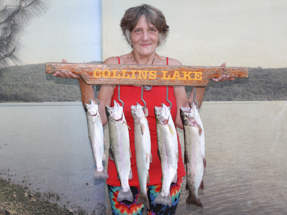 Collins Lake :: Lots of Trout Over 7lbs & Big Bass!