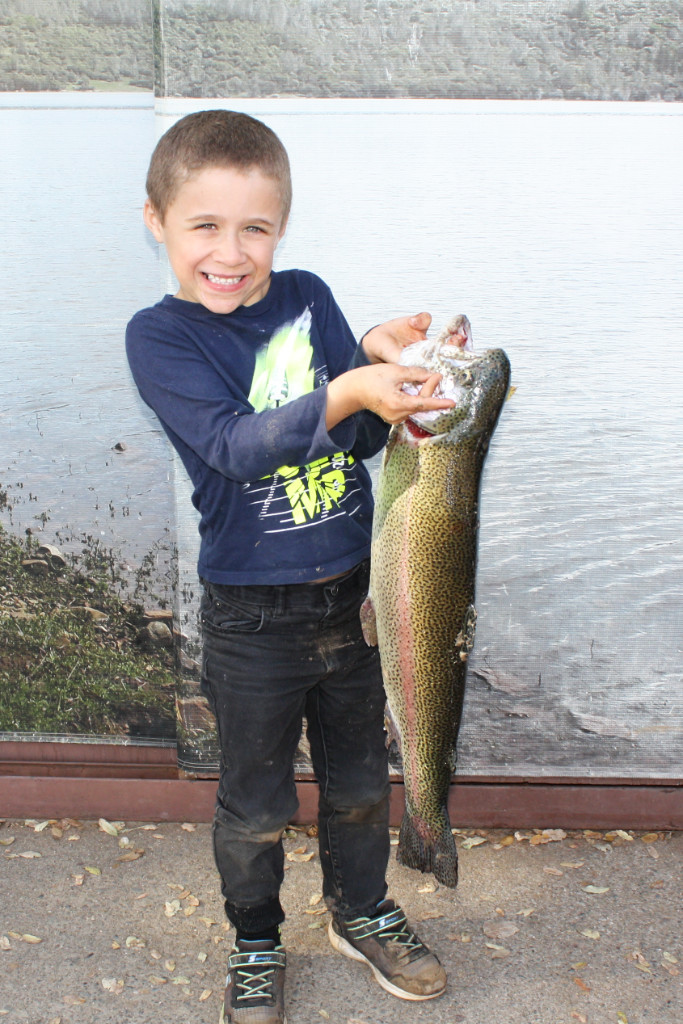 Collins Lake :: Temperatures Drop & Bait Fishing for Trout Takes the Top