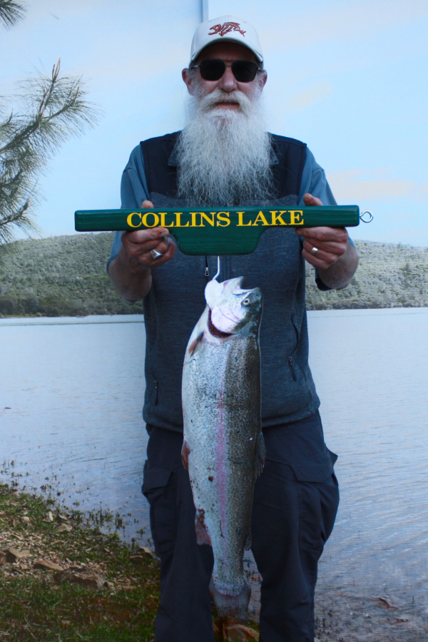 Collins Lake :: Temperatures Drop & Bait Fishing for Trout Takes the Top